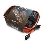 Alp
